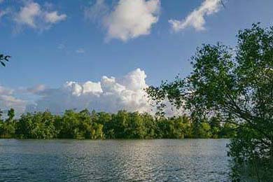 虾仁用啥一起炒好吃