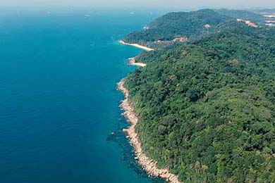 炒毛栗子隔夜可以吃吗